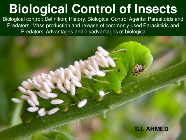 Predators and Parasitoids (Advances in Biopesticide Research)